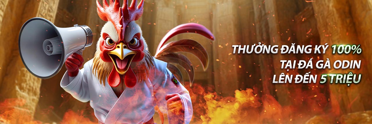 Banner khuyến mãi sclub88 với các ưu đãi hấp dẫn và tiền thưởng lớn