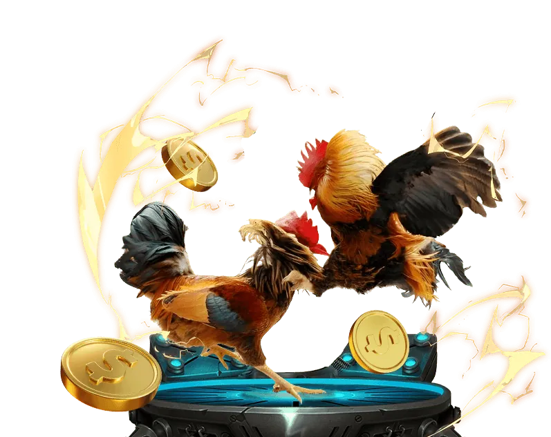 Hình ảnh đá gà trực tuyến sclub88 tại một đấu trường sôi động.